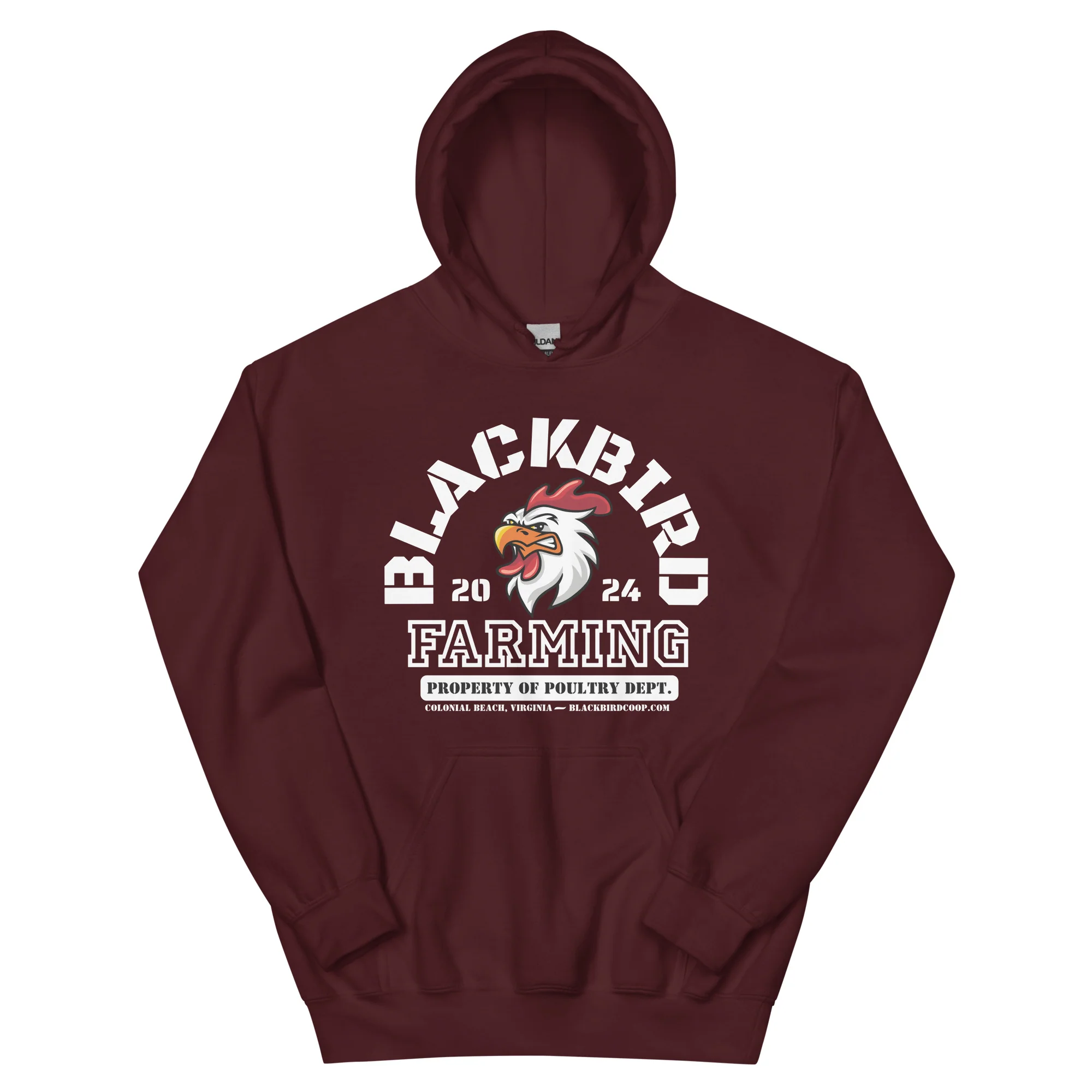 Blackbird Varsity Hoodie - Image 3
