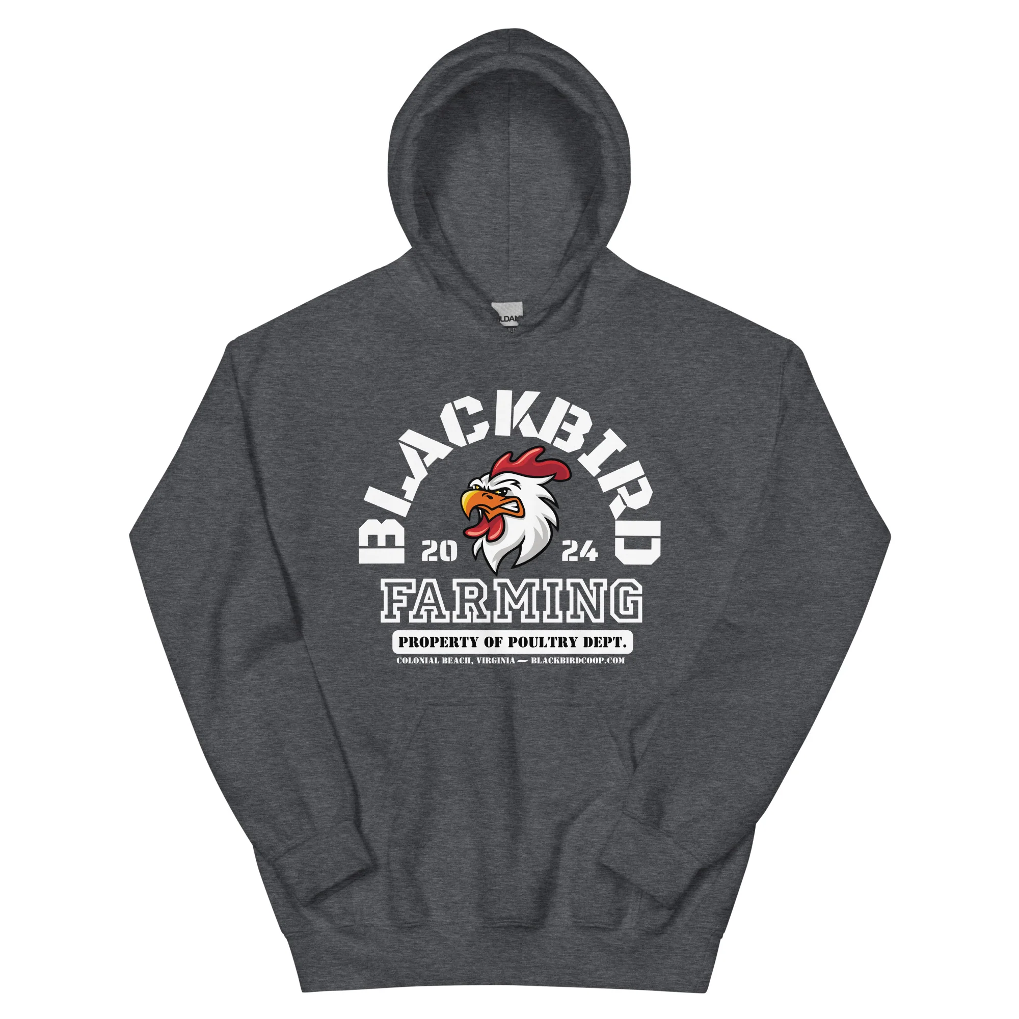 Blackbird Varsity Hoodie - Image 5