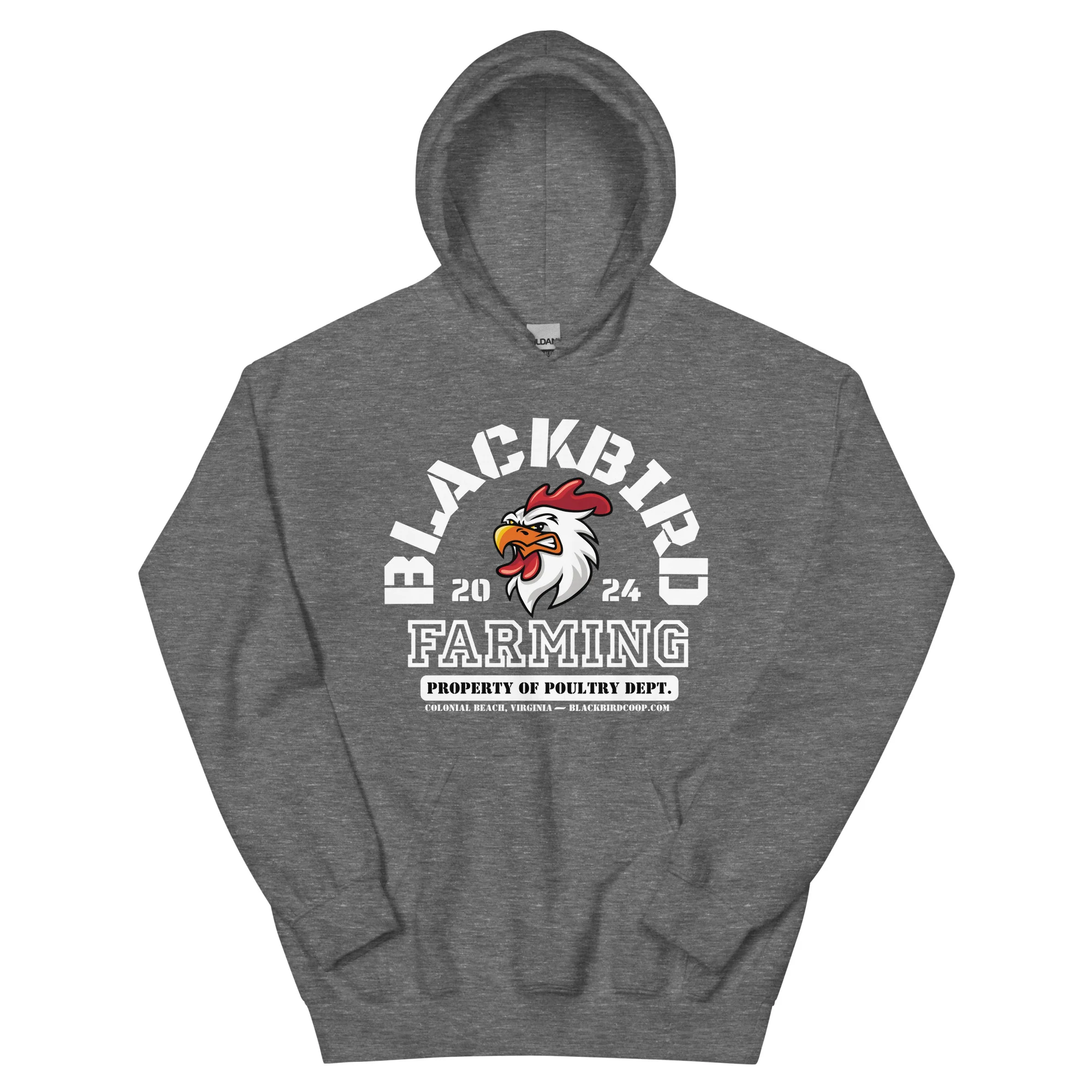 Blackbird Varsity Hoodie - Image 7