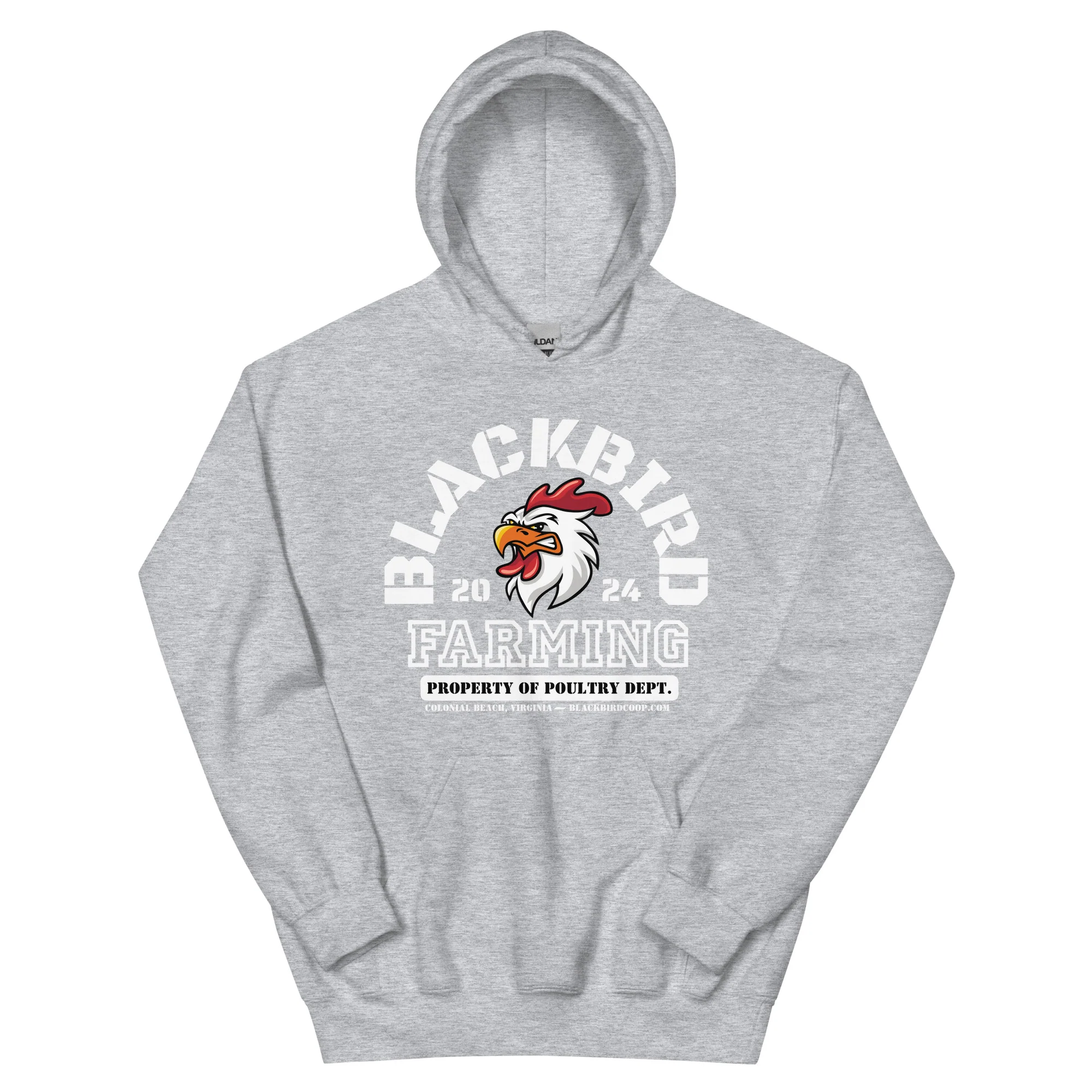 Blackbird Varsity Hoodie - Image 9
